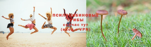 скорость Орехово-Зуево