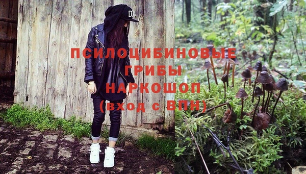 дживик Майский