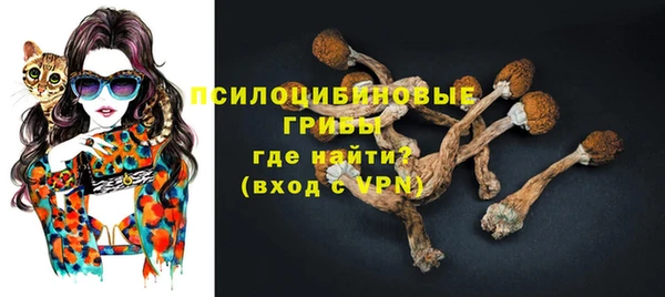 шишки Липки