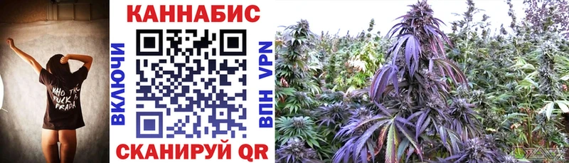 Конопля сатива  купить  сайты  Сысерть 